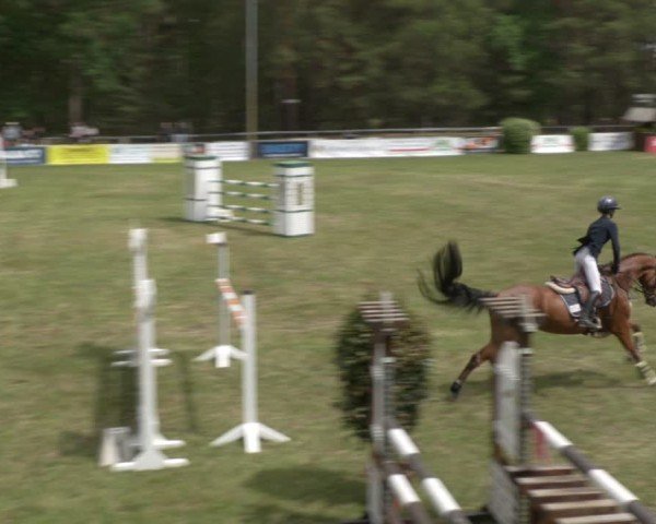 Reitturnier Cottbus-Sielow 2025