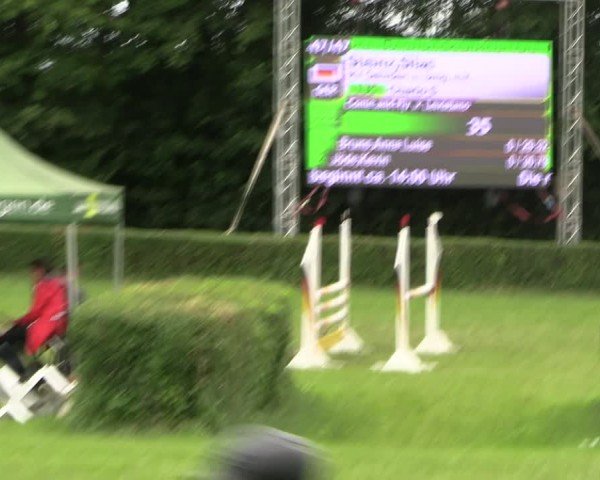Reitturnier Westeregeln 2025