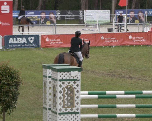 Reitturnier Cottbus-Sielow 2025