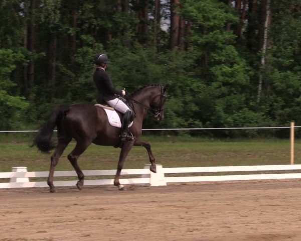 Reitturnier Horka 2025