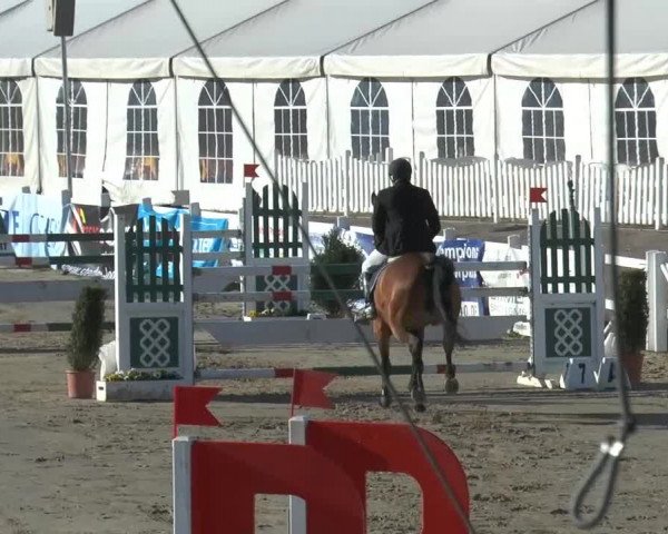 Lenklarer Reitertage 2014