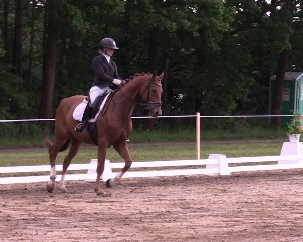 Reitturnier Horka 2025