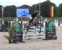 jumper Castello de Lion H (Hanoverian, 2019, from Clinton's Heart)