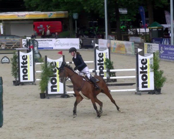 Reitturnier Borken 2025