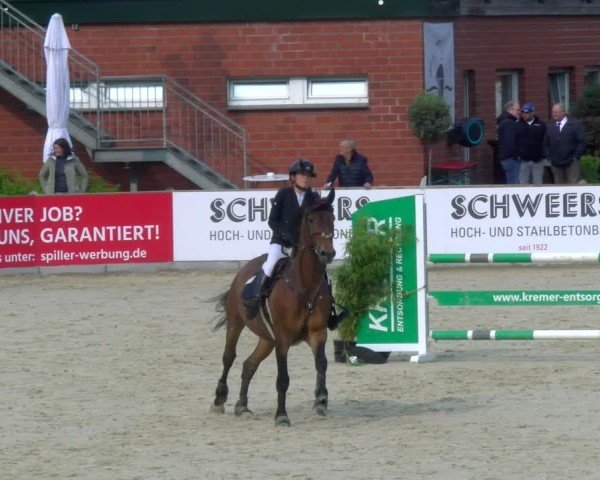 Reitturnier Borken 2025