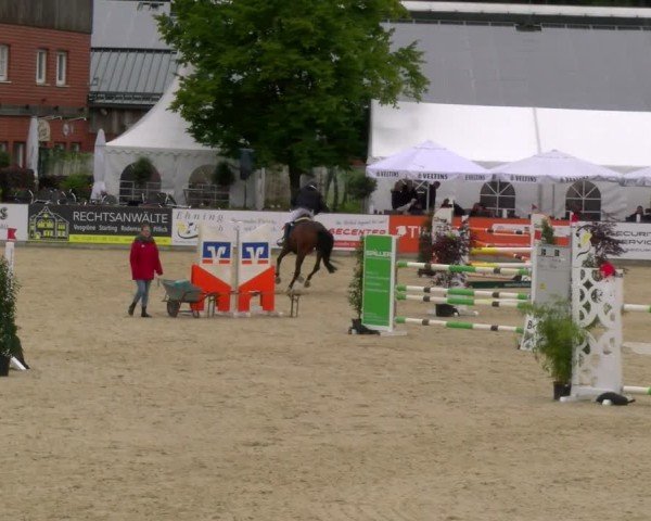 Reitturnier Borken 2025