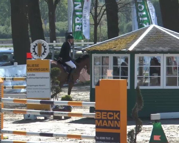 Lenklarer Reitertage 2014