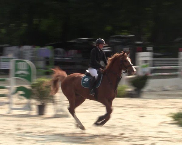 Reitturnier Iserlohn-Kalthof 2025