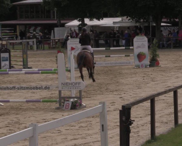 Reitturnier Everswinkel 2025