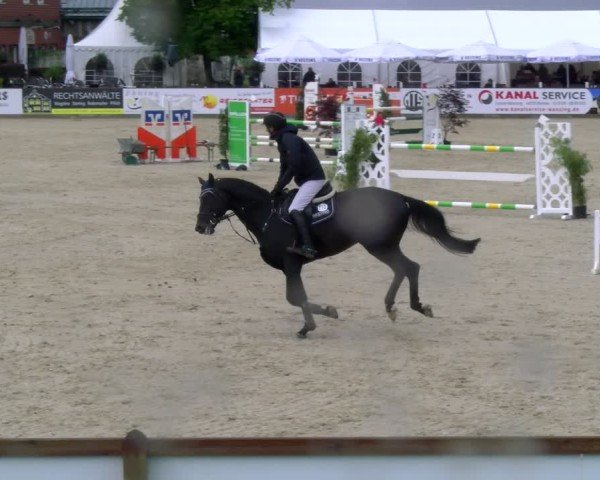 Reitturnier Borken 2025