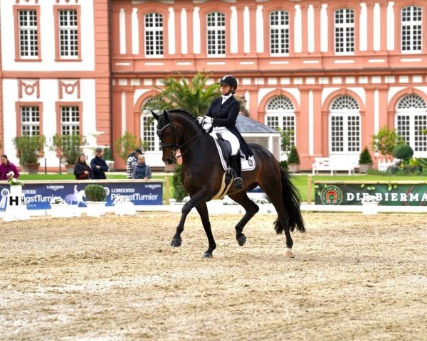 Dressurpferd Dream-Date (Westfale, 2018, von Blue Hors Dreamline)