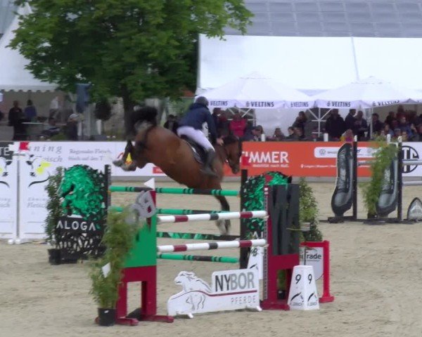 Reitturnier Borken 2025
