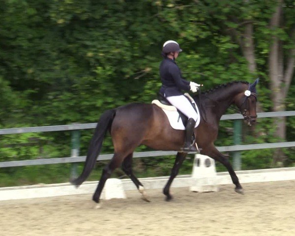 Reitturnier Iserlohn-Kalthof 2025