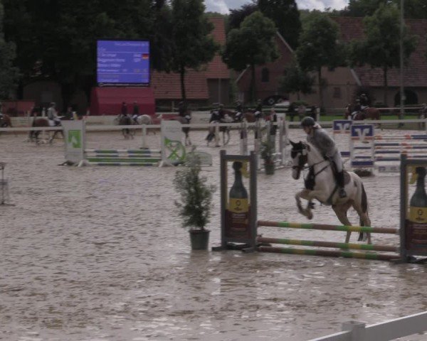 Reitturnier Everswinkel 2025