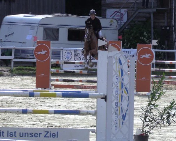 Reitturnier Siegen-Weidenau 2025