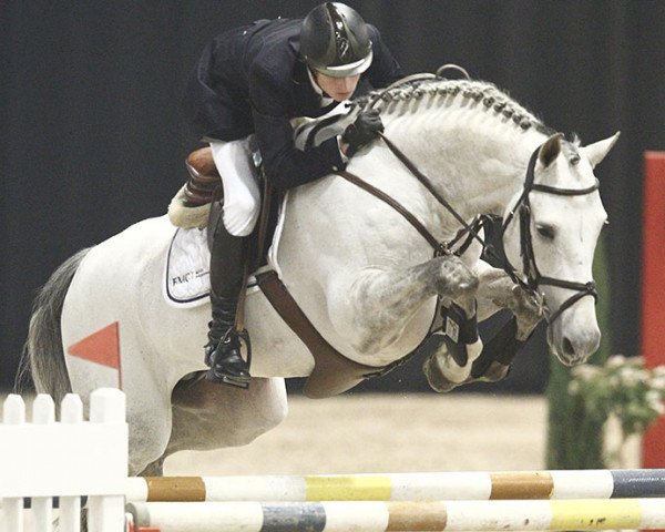 stallion Wizzerd (KWPN (Royal Dutch Sporthorse), 2003, from Indoctro)