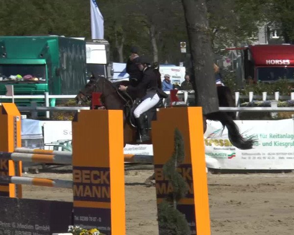 Lenklarer Reitertage 2014