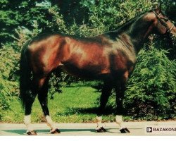 stallion Sir Laryks (Little-Poland (malopolska), 1991, from Laryks)