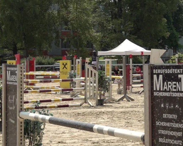 Reitturnier Bregenz 2025