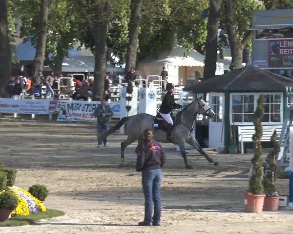 Lenklarer Reitertage 2014