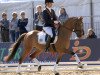 dressage horse Kastanienhof Goldeneye (German Riding Pony, 2015, from Kastanienhof Cockney Cracker)