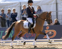 dressage horse Kastanienhof Goldeneye (German Riding Pony, 2015, from Kastanienhof Cockney Cracker)