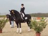 dressage horse Rubin Dark (Oldenburg, 2005, from Rubin Cortes OLD)