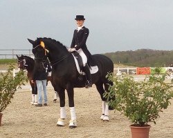 dressage horse Rubin Dark (Oldenburg, 2005, from Rubin Cortes OLD)