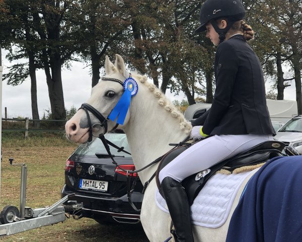 dressage horse Hercules AS (Welsh-Pony (Section B), 2010, from Linde Hoeve's Daniel)