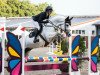 stallion Conradino (Oldenburg show jumper, 2016, from Congress 4)