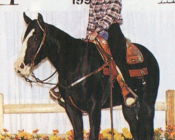horse Maggie Max McCue (Paint Horse, 1997, from Blue Max)