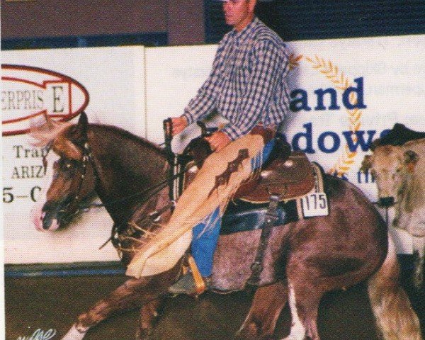 horse Cuttin Diamonds (Paint Horse, 1995, from Grays Starlight)