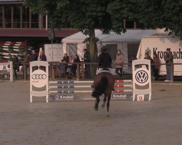 Reitturnier Everswinkel 2025