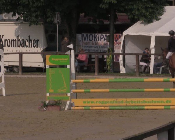 Reitturnier Everswinkel 2025