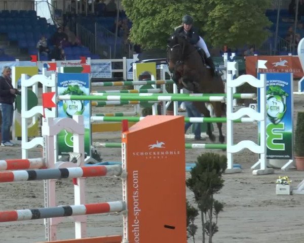 Lenklarer Reitertage 2014