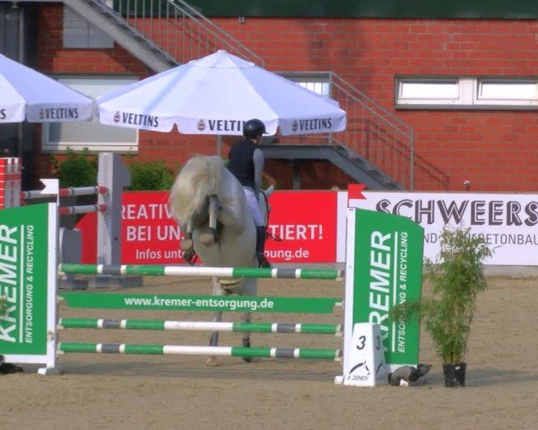 Reitturnier Borken 2025