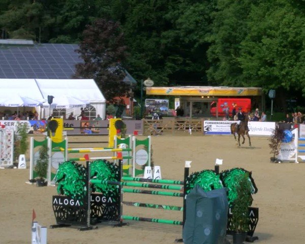 Reitturnier Borken 2025