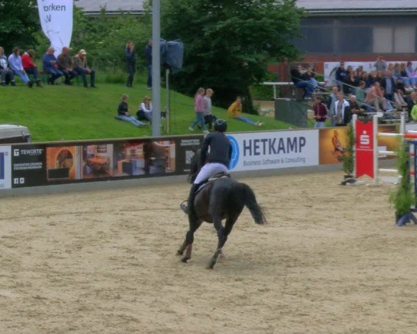 Reitturnier Borken 2025