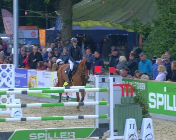 Reitturnier Borken 2025
