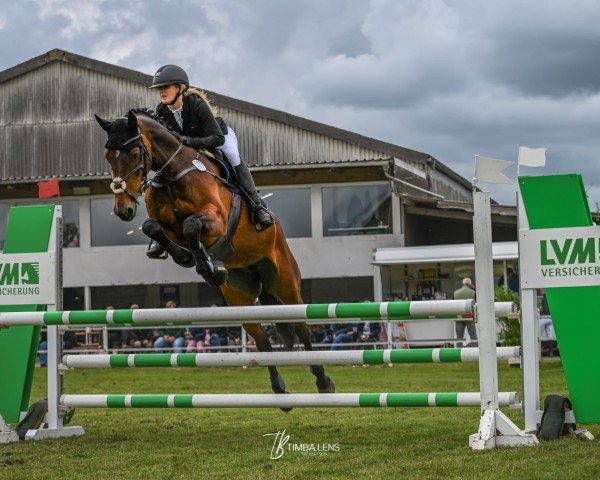 jumper GK Chloe (Holsteiner, 2010, from Lerano)