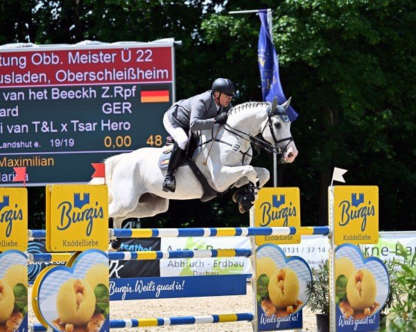 jumper Dubai van het Beeckhof Z (Zangersheide riding horse, 2014, from Dieu-Merci van T&L)