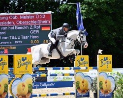 jumper Dubai van het Beeckhof Z (Zangersheide riding horse, 2014, from Dieu-Merci van T&L)