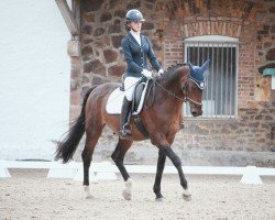 dressage horse Charmeur of Cal (Saxony-Anhaltiner, 2001, from Calderon)
