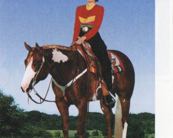 horse Fleets Lucky Gain (Paint Horse, 1993, from Mr. Norfleet)