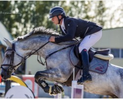 jumper Baironas (Hanoverian, 2012, from Bacardi OLD)