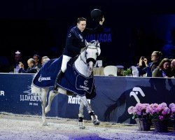 jumper Cornet's Cloud (Westphalian, 2014, from Cornet Obolensky)
