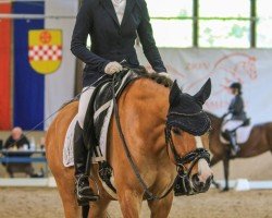 dressage horse Der kleine Fred (German Riding Pony, 2019, from Dating AT NRW)