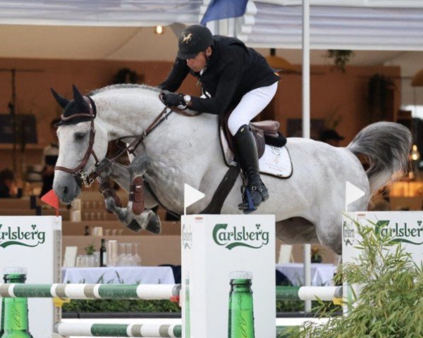 Springpferd Nobel van de Vrombautshoeve Z (Zangersheide Reitpferd, 2016, von Nabab de Rêve)