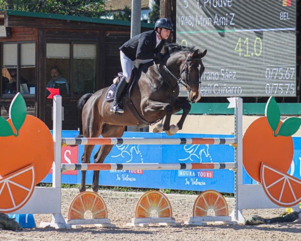 jumper Mon Ami Z (Zangersheide riding horse, 2018, from Matisse de Mariposa)