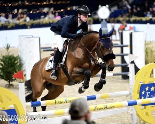jumper Quick Touch Jw van 't Meulenhof (Belgian Warmblood, 2016, from Kannan)